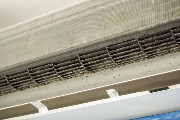 Best HVAC Duct Inspection Services  in Gaston, SC